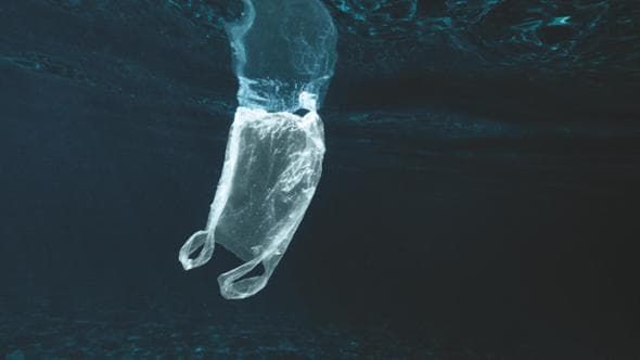 La corsa verso la plastica