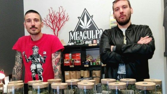 Cannabis light, i negozianti di Bologna: "Crescererà il mercato nero"