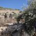 Italian activist detained in the West Bank: “We felt we were being treated like animals”
