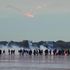 Francia, la polizia spara gas lacrimogeni contro i migranti in arrivo sulla spiaggia di Gravelines