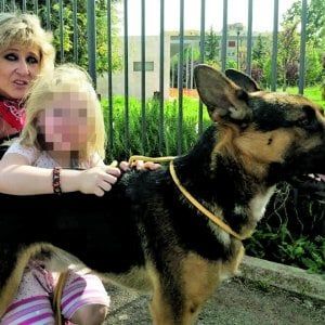 Roma, "Ziggy, il mio cane morto di eroina in piazza Vittorio"