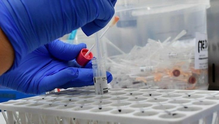 Coronavirus, il bollettino di oggi 10 febbraio: 12.956 nuovi casi e 336 vittime