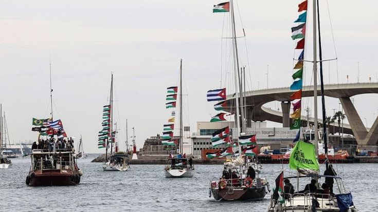 Espulsione immediata da Israele o processo, cosa succede ora agli attivisti della Flotilla