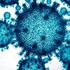Influenza, ecco come il virus “ricabla” le cellule umane
