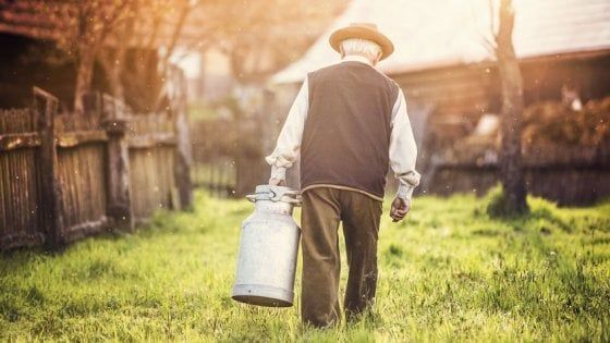 Aziende del bio in crisi: due su tre possono resistere al massimo tre mesi