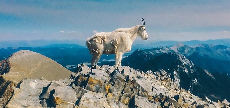 Liima, il synth pop che viene dal Nord