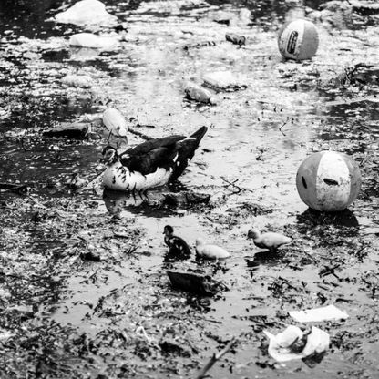 "Natura morta e altre violenze", l’inquinamento negli scatti di Brunetti