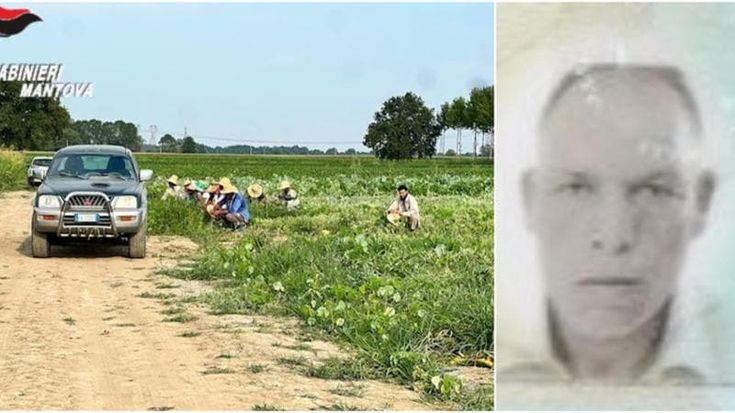 Mantova, Haddad Taher muore mentre è al lavoro nei campi: ipotesi malore per il caldo, aveva 55 anni
