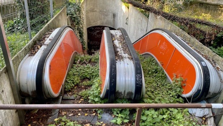 Roma, le scale mobili di Villa Borghese invase dalle piante: il tweet che fa il giro del mondo