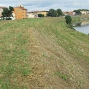 Esposto degli ambientalisti: diffidano la Regione sul taglio dell'erba sulle rive