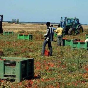 Potenza, presentata la proposta di accoglienza dei lavoratori migranti stagionali