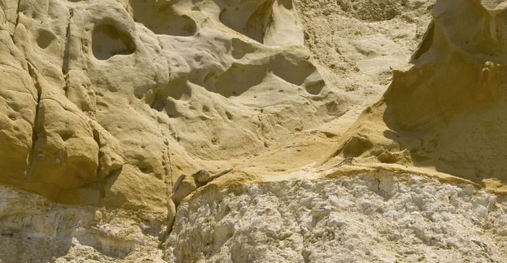 Scoprite dove si nasconde la donna camaleonte