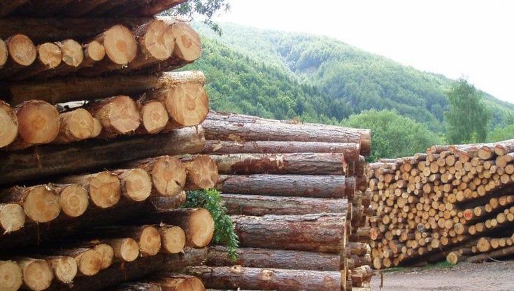 Cavour, il  legno piemontese va all'asta