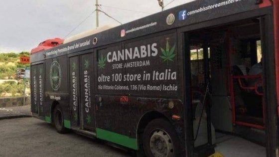 Ischia, la polemica sul bus che reclamizza la cannabis, la replica dell'azienda: "I prodotti commercializzati sono perfettamente legali" 
