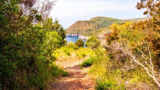 Il Cilento nella Top Ten dei migliori Parchi Nazionali d’Europa