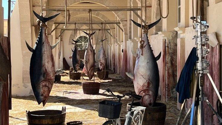 “I leoni di Sicilia” lasciano Favignana e arrivano a Palermo