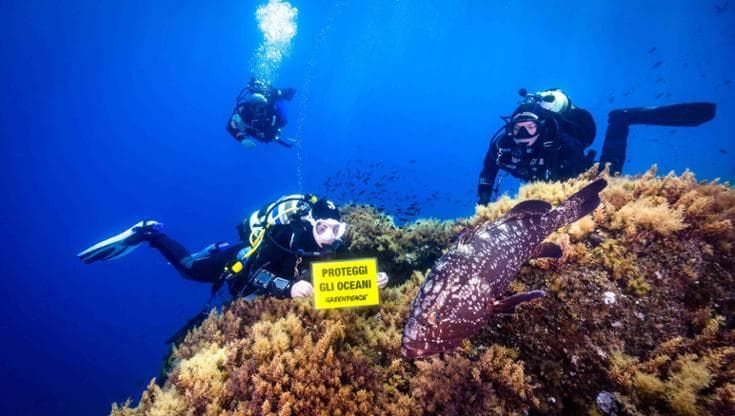 Mari sempre più caldi, ora anche in profondità