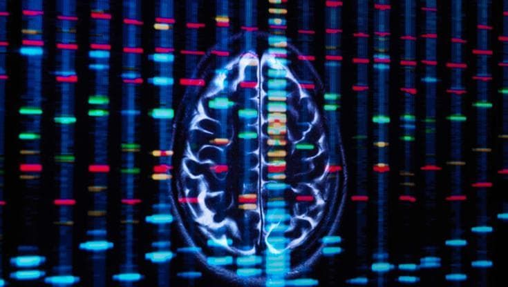 Cervello, l'espressione dei geni è diversa in uomini e donne