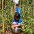 A CasaOz si coltiva l’inclusione: zucchine, pomodori e ortoterapia per bambini fragili