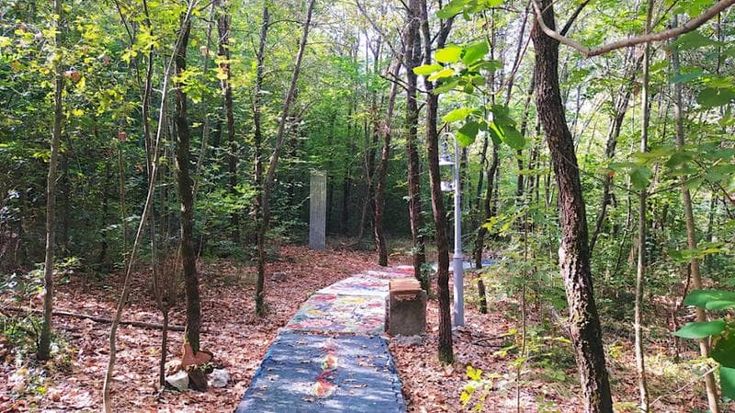 Il Silenzio e le Forme: sculture contemporanee e land art nella Gola del Furlo