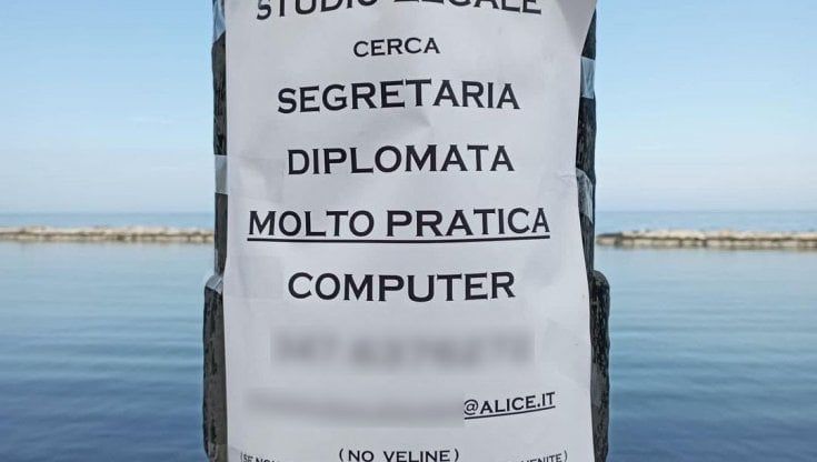 "Cerco una segretaria, non una velina", a Bari l'annuncio di uno studio legale nel mirino delle associazioni  lgbtqia+: "Trasuda sessismo"
