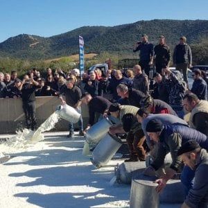 Sardegna, analisi del voto: tra i pastori tanti astenuti e molti voti al centrodestra. E oggi riprende il negoziato sul latte 