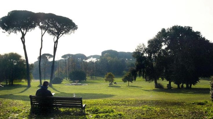 Viaggio nel mondo a Villa Pamphilj, 200 esemplari di alberi da tutti i continenti