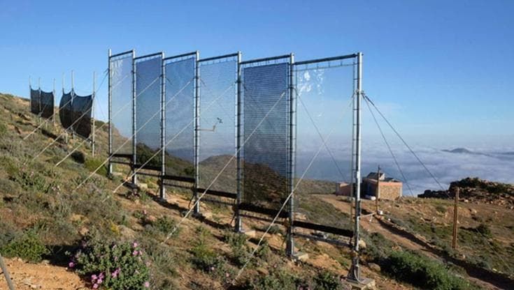 La rete che cattura la nebbia dall’Atlantico e la trasforma in acqua