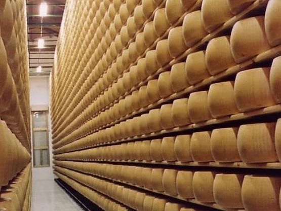 Nuova Castelli vuole mettere radici nel mercato Usa