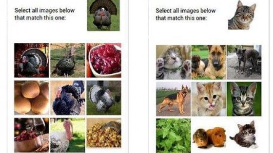 Google: addio "captcha", arrivano i gattini