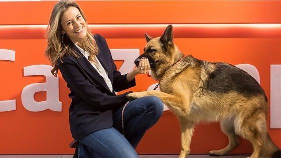 Da Ca' Zampa la medaglietta smart per monitorare la salute dei cani