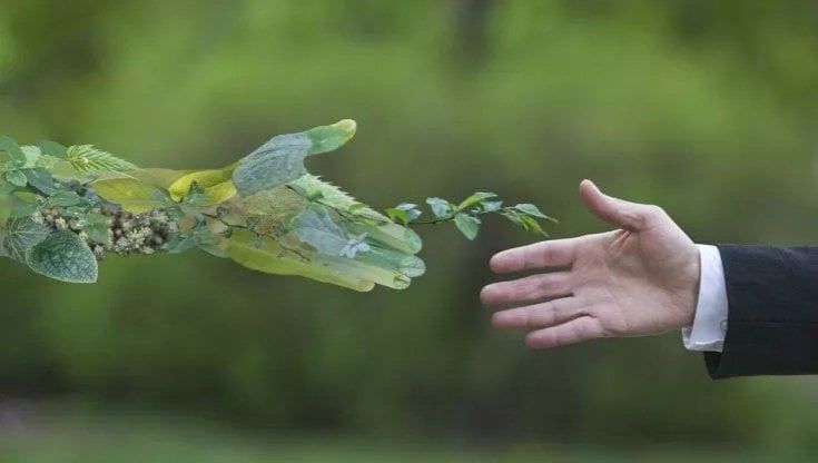 Azionisti e vigilanti all’attacco della finanza verde per finta 