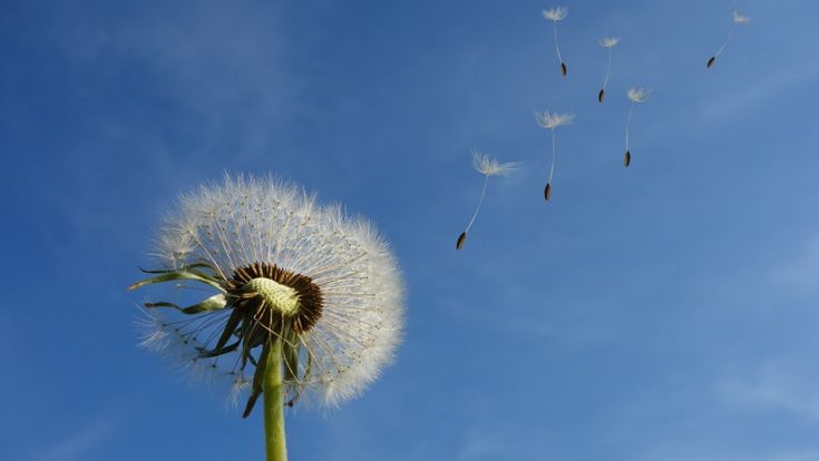 La prima cosa bella di lunedì 7 settembre 2020