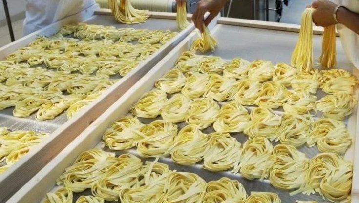 Pasta, latte, carne: rincari alle stelle. L'allarme di Federalimentare: "I prezzi dei cereali sono saliti del 30-50%"