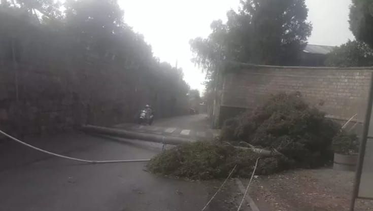 Tempesta e grandine da Napoli a Sorrento: alberi caduti e navi in balia del vento