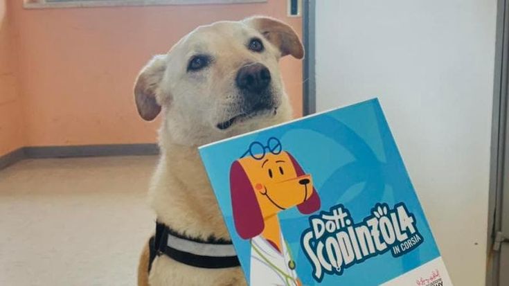 C’è un cane in corsia: in Salento nei reparti di pediatria di tre ospedali arriva la pet therapy