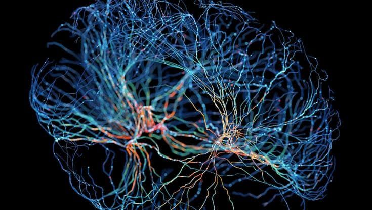 Ecco come la stimolazione cerebrale influenza neuroni e genetica