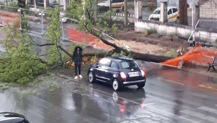 Maltempo, nubifragio a Roma: grandine, alberi caduti e allagamenti. Tromba d'aria a Civitavecchia e neve al Terminillo