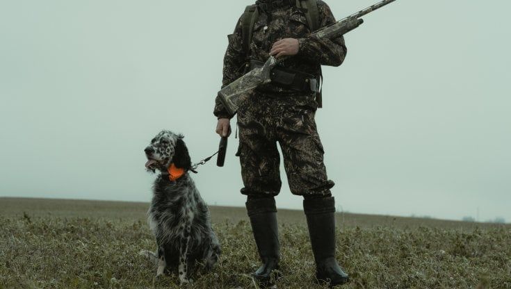 Spara e uccide per sbaglio il cane di un cacciatore: questo imbraccia il fucile e lo gambizza