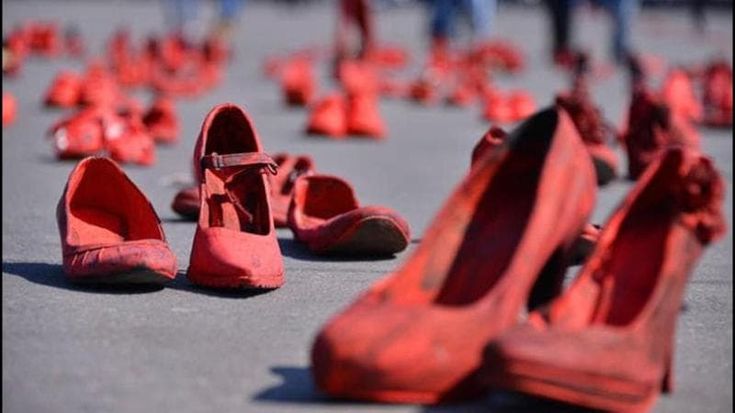 Violenza sulle donne, la petizione: “Dati incompleti, 25mila firme al governo per avere trasparenza”