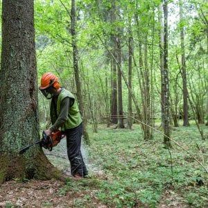 Ambiente, Ong denuncia: "Strage di attivisti, nel 2016 almeno duecento morti"