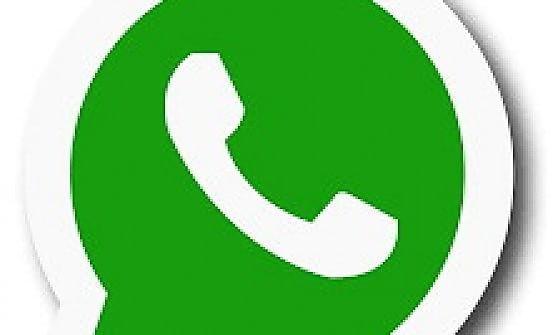 Il furto "immortalato" su Whatsapp, cittadina detective fa arrestare la ladra 