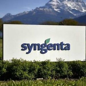 Syngenta verso la quotazione: sarà la più grande Ipo della chimica