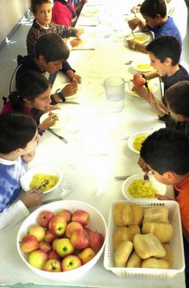 Frutta, regina a scuola<br />195 tonnellate a merenda