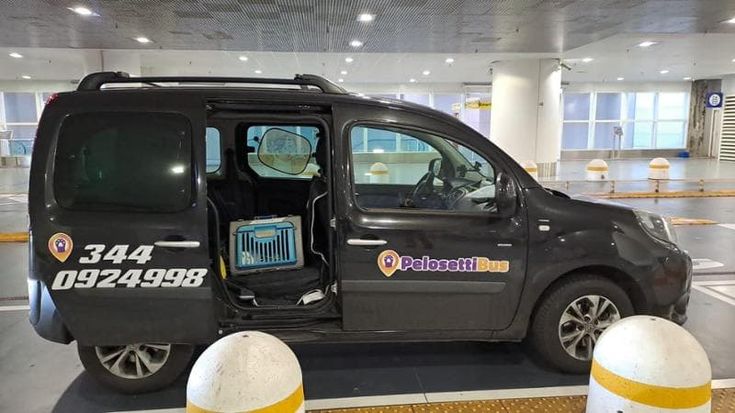 Dal call center al PelosettiBus: “Così ho cambiato la mia vita guidando il taxi per animali”