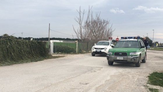 Pantera nera in libertà, avvistamento a Foggia: "Correte, è alla periferia della città"