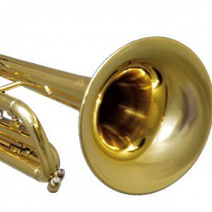 Ecco il bonus per comprare gli strumenti musicali