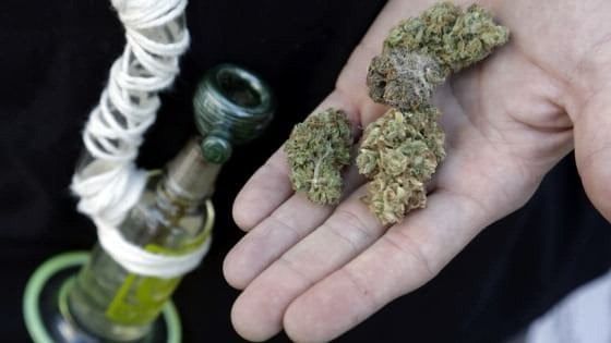 "La marijuana è per mia mamma malata": Bologna, condannato a quattro mesi