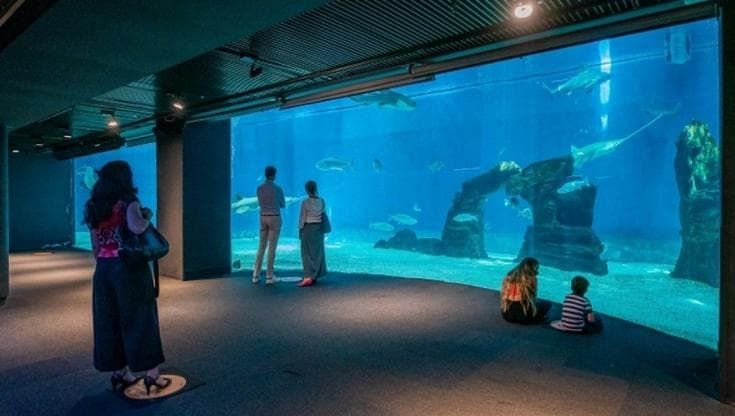 Costa Edutainment cambia proprietà, il 70% a Nextalia, il 30 a Ponte Ter guidato da Beppe Costa