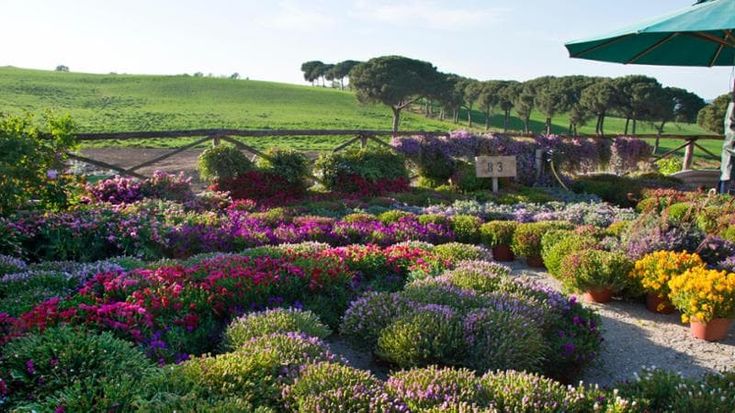 Floracult, piante e fiori rari per coltivare la meraviglia